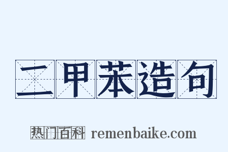 二甲苯造句是什么意思的图片